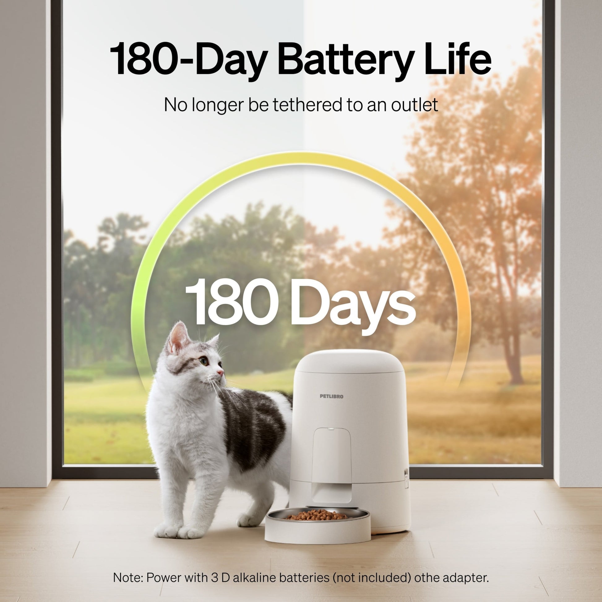 ZenPaw™ Smart Capsule Minimalist Automatic Feeder