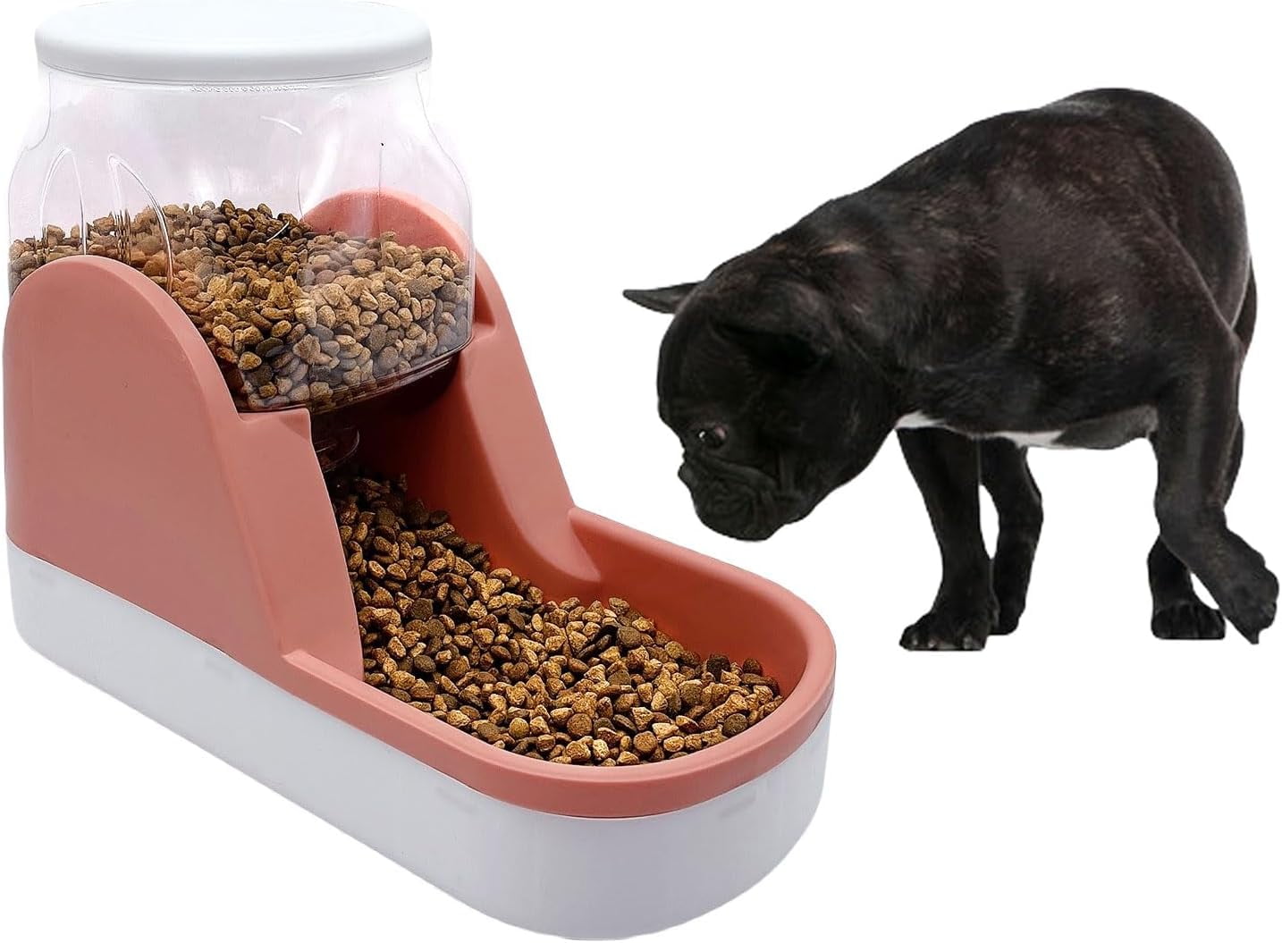 ZenPaw™ Minimalist Gravity-Fed Automatic Feeding Station
